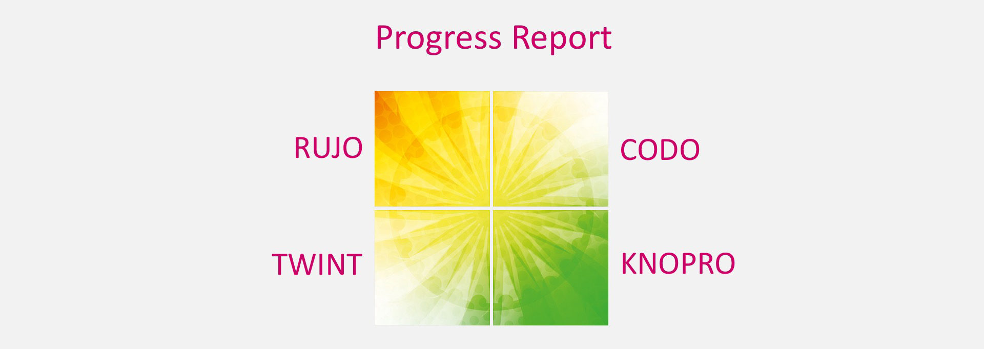 Progress Report